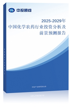 2025-2029ЇWr(nng)ˎИI(y)ͶYǰA(y)y